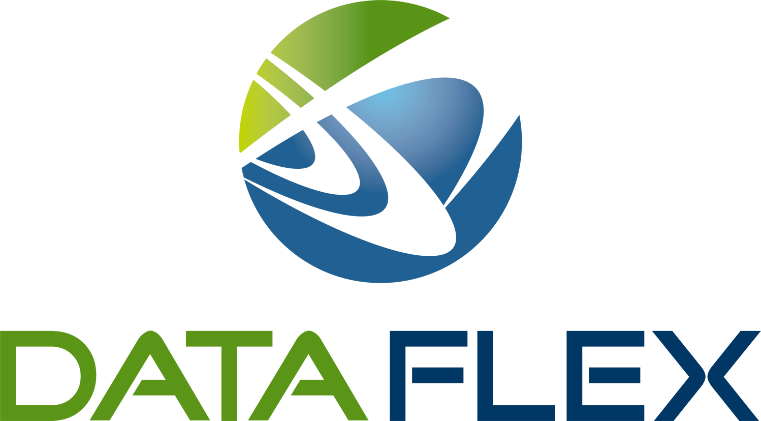 Data Flex LLC